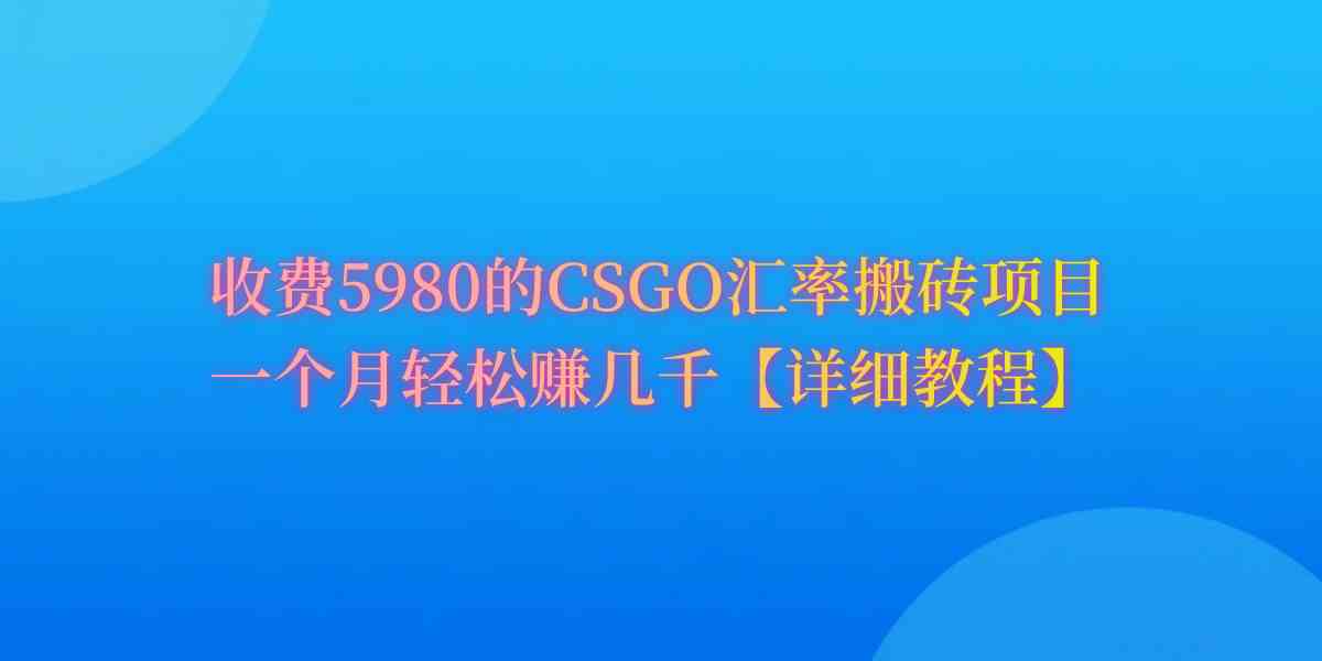（9776期）CSGO装备搬砖，月综合收益率高达60%，你也可以！-网创项目