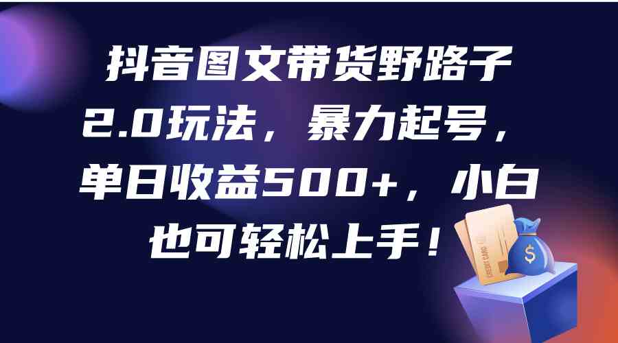 （9790期）抖音图文带货野路子2.0玩法，暴力起号，单日收益500+，小白也可轻松上手！-网创项目