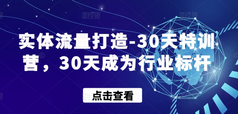 实体流量打造-30天特训营，30天成为行业标杆-网创项目