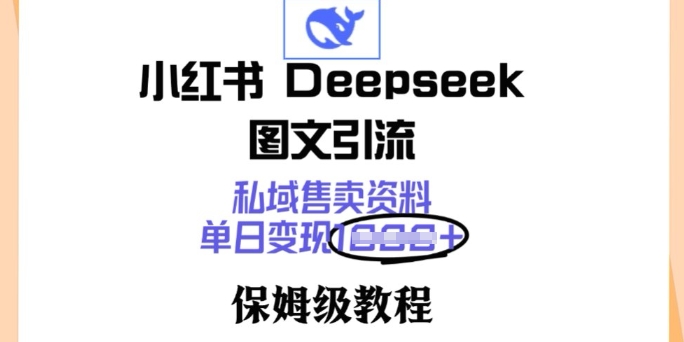 小红书Deepseek图文引流，私域售卖资料，单日变现多张，保姆级教程-网创项目
