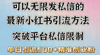 最新“摆烂式”引流打法，小红书私信引流，单天引流100+-网创项目