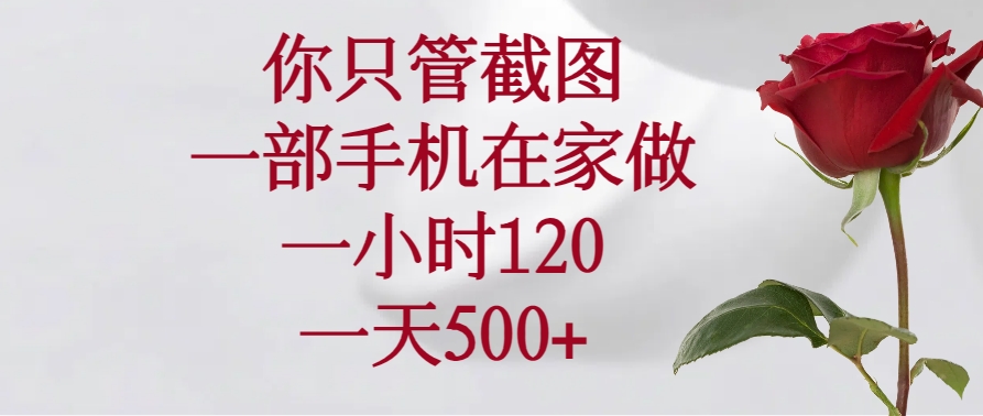 （14248期）你只管截图，一部手机在家做，一小时120，一天500+-网创项目