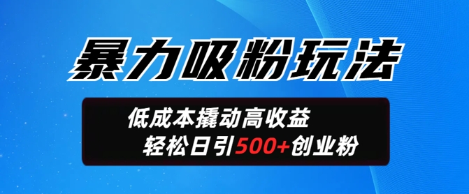 暴力吸粉玩法，日引500+精准创业粉，日变现轻松多张-网创项目