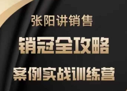 张阳讲销售实战训练营，​案例实战训练，销冠全攻略-网创项目