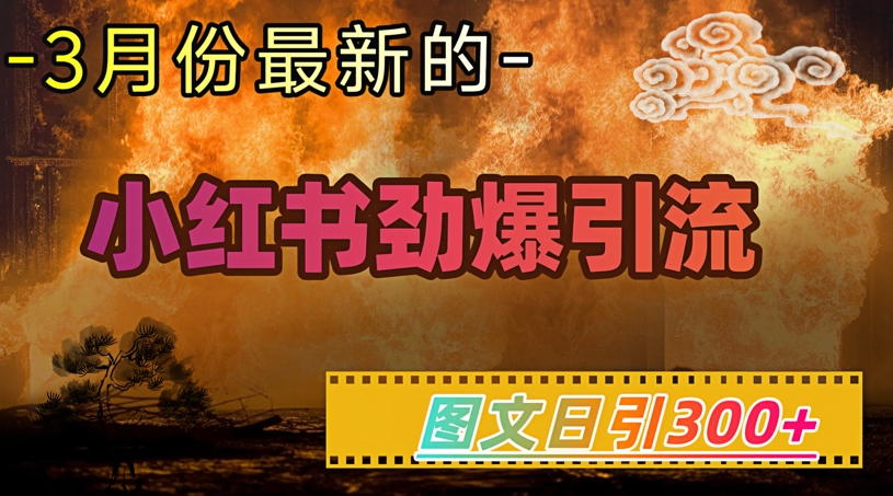 小红书超劲爆引流手段，图文日引300+轻松变现1W-网创项目