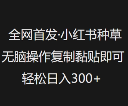 全网首发，小红书种草无脑操作，复制黏贴即可，轻松日入3张-网创项目
