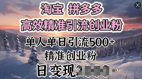 淘宝拼多多高效精准引流创业粉，单人单日引流500+创业粉，日变现多张-网创项目