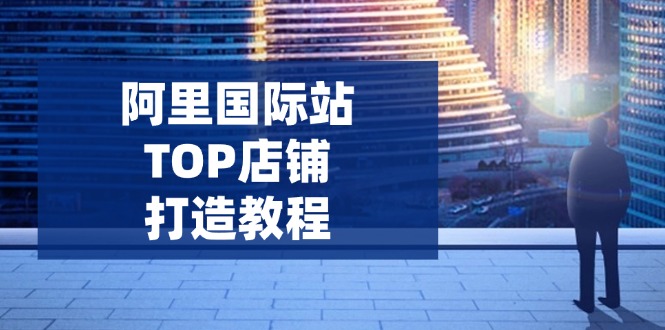 （14269期）阿里国际站TOP店铺打造教程：涵盖平台到高阶，解决运营难题，提升询盘-网创项目