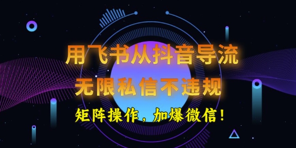 用飞书从抖音导流，无限私信不违规，抖音截流创业粉-网创项目