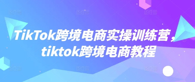 TikTok跨境电商实操训练营，tiktok跨境电商教程-网创项目