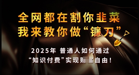 知识付费如何做到月入过W+，2025我来教你做“镰刀”【揭秘】-网创项目