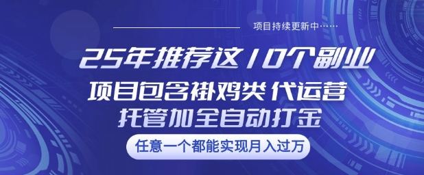 25年推荐这10个副业项目包含褂鸡类、代运营托管类、全自动打金类【揭秘】-网创项目