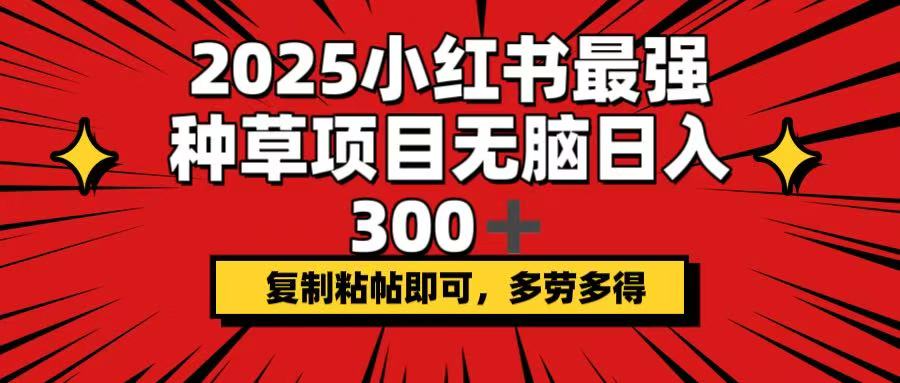 （14375期）2025小红书最强种草项目，无脑日入300+，复制粘帖即可，多劳多得-网创项目