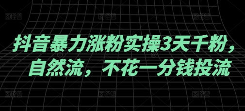 抖音暴力涨粉实操3天千粉，自然流，不花一分钱投流，实操经验分享-网创项目