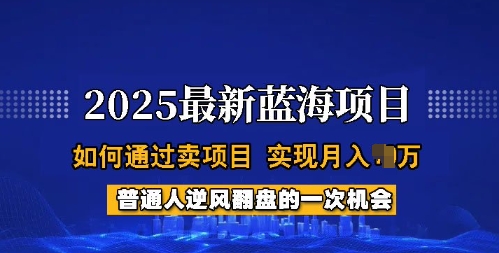 2025蓝海项目，普通人如何通过卖项目，实现月入过W，全过程【揭秘】-网创项目