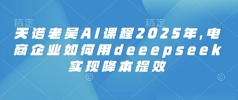 天诺老吴AI课程2025年，电商企业如何用deeepseek实现降本提效-网创项目