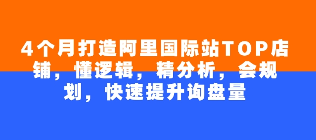 4个月打造阿里国际站TOP店铺，懂逻辑，精分析，会规划，快速提升询盘量-网创项目