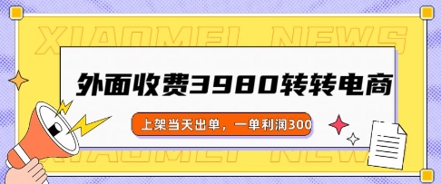 外面收费3980的转转电商玩法，上架当天出单，一单利润3张-网创项目
