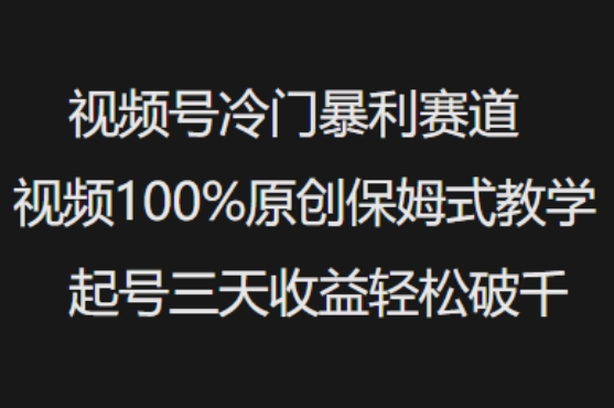 视频号冷门暴利赛道视频100%原创保姆式教学起号三天收益轻松破千-网创项目