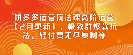 拼多多运营玩法课高阶运营【2月更新】，极致群爆款玩法，轻付费无尽复制等-网创项目