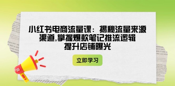 （14318期）小红书电商流量课：揭秘流量来源渠道,掌握爆款笔记推流逻辑,提升店铺曝光-网创项目