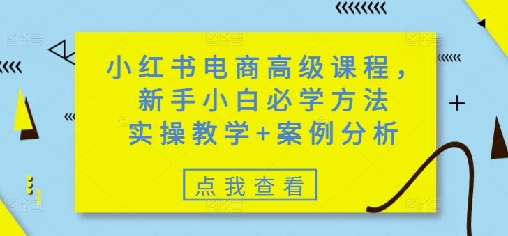 小红书电商高级课程，新手小白必学方法，实操教学+案例分析-网创项目