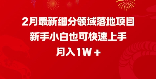 2月最新细分领域落地项目，新手小白也可快速上手，月入1W-网创项目