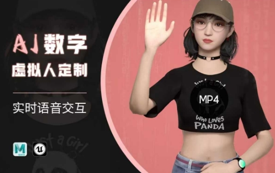 Ai数字人虚拟(智能体)实时语音交互特训营，​自行定制超写实角色AI数字人交互技术-网创项目