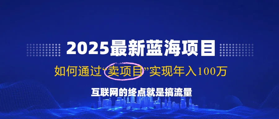 （14305期）2025最新蓝海项目，零门槛轻松复制，月入10万+，新手也能操作！-网创项目