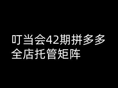 叮当会拼多多打爆班原创高阶技术第42期，拼多多全店托管矩阵-网创项目
